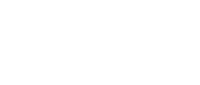Logo Temsa White